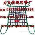 polyester web cargo net,webbing net